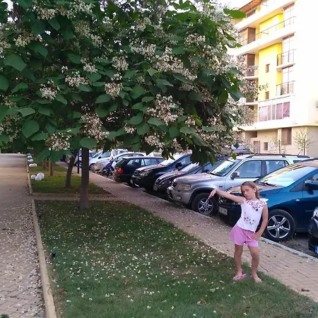 In Grand Kamelia 2 * Sunny Beach