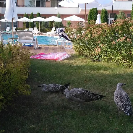 In Grand Kamelia 2 Apartamento Sunny Beach